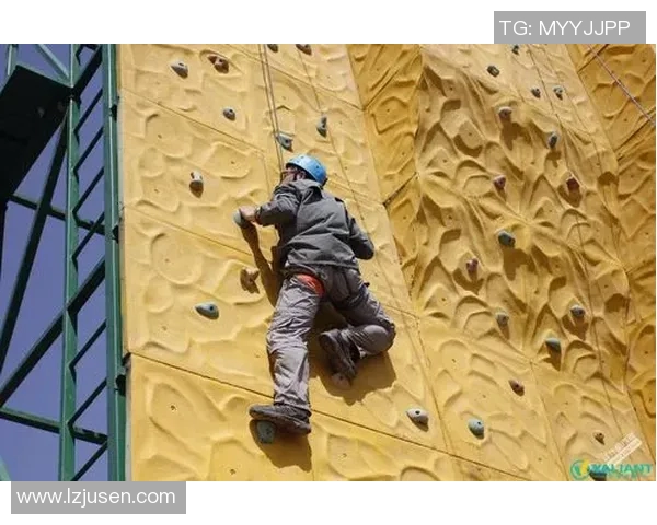 成都攀岩队员个人能力深度对比与分析揭示团队潜力与发展方向