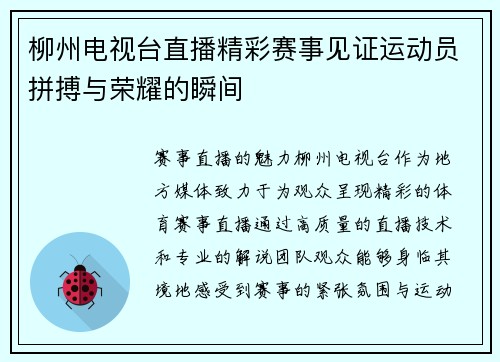 柳州电视台直播精彩赛事见证运动员拼搏与荣耀的瞬间